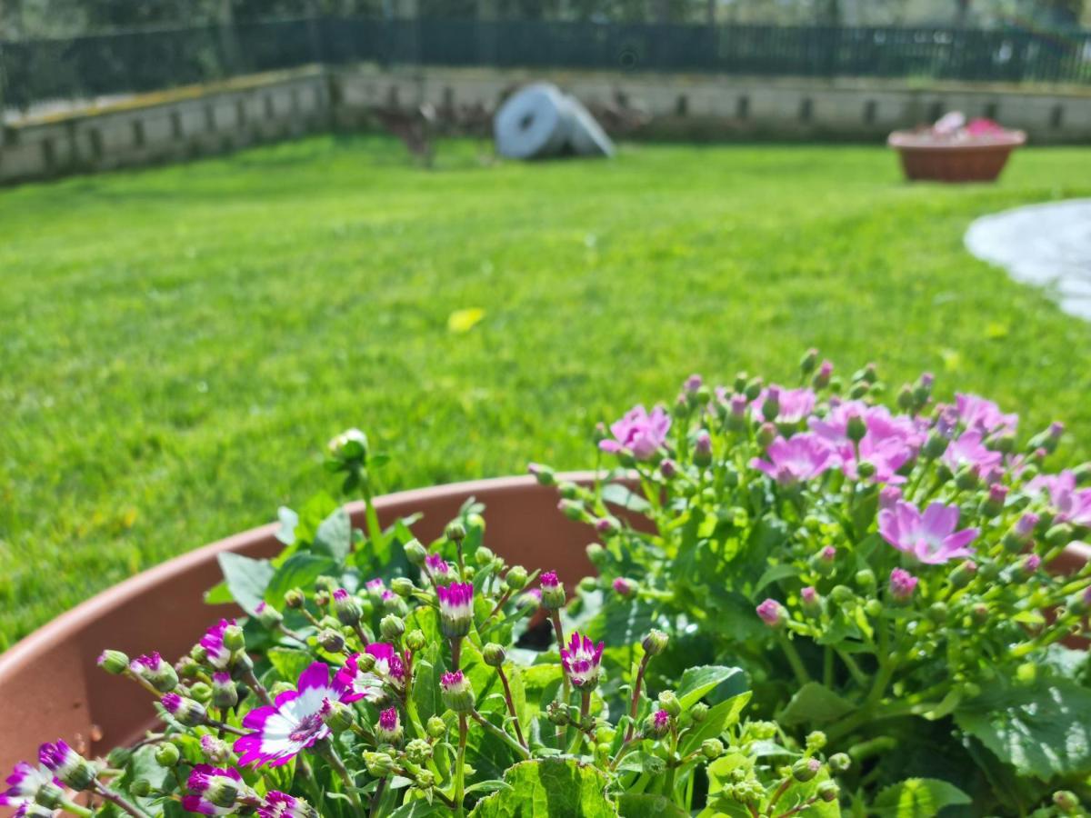Il Casale Nel Parco Guesthouse Róma Kültér fotó