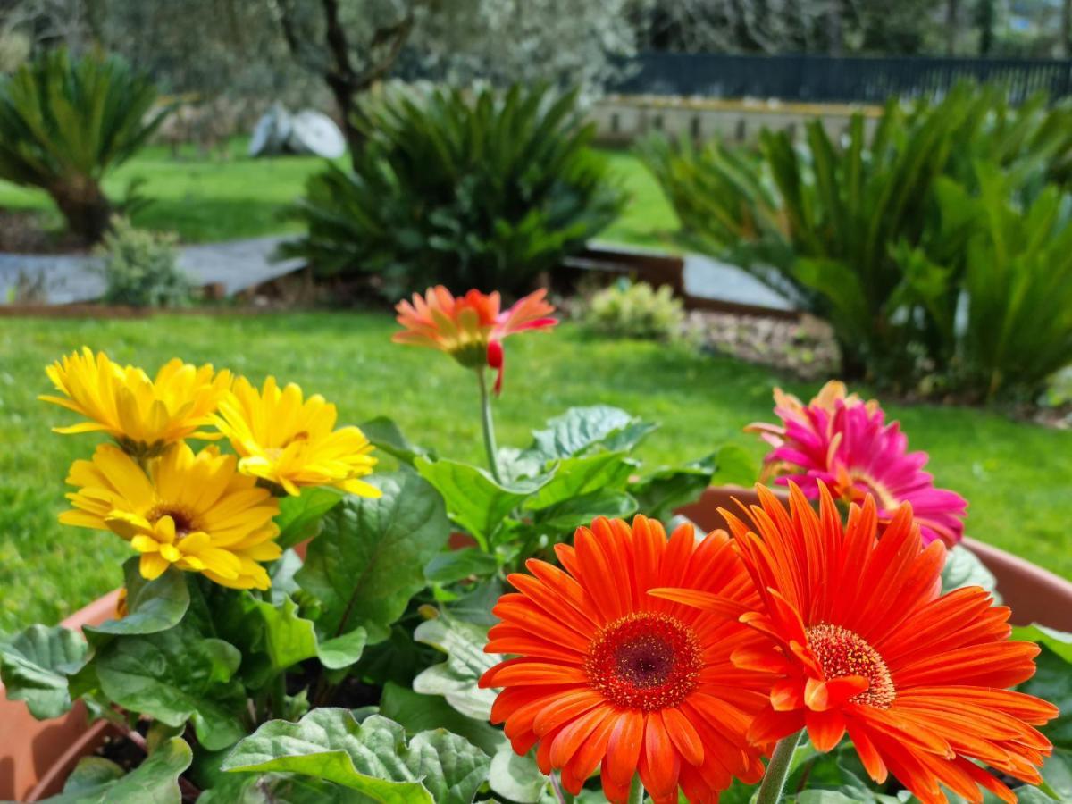 Il Casale Nel Parco Guesthouse Róma Kültér fotó